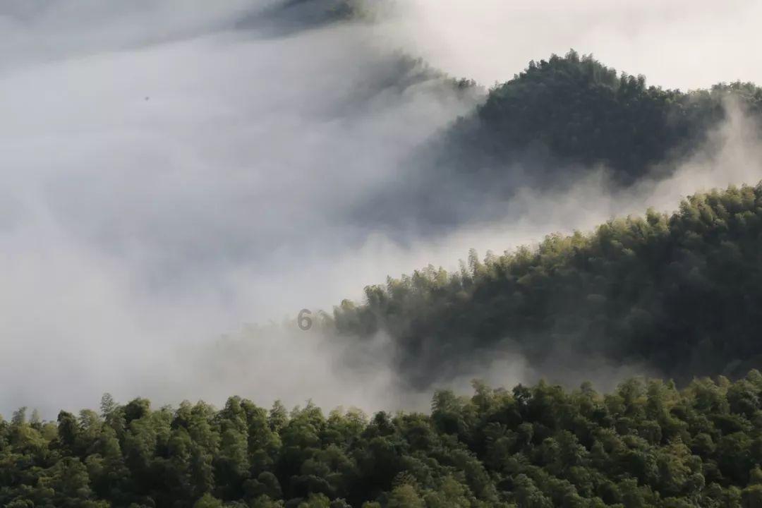 虫虫助手下载