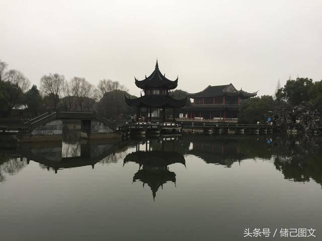 春雨直播app